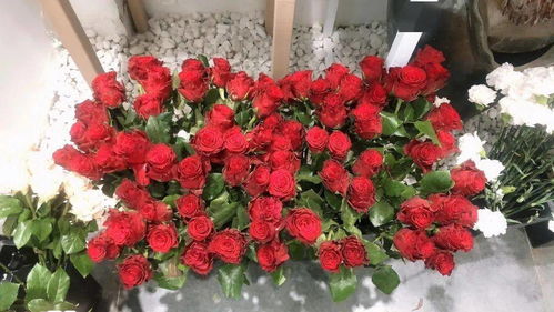探店日記丨520禮物首選，花所為你精心準備，送給心愛的她