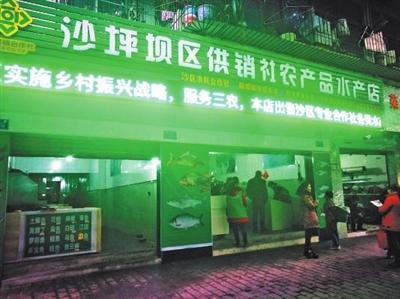 打通農產品流通最后一公里——沙區供銷社農產品水產、花卉店正式開業